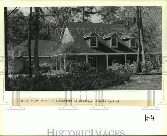 1991 Press Photo House Mug: 105 Blackbeard in Slidell - Historic Images