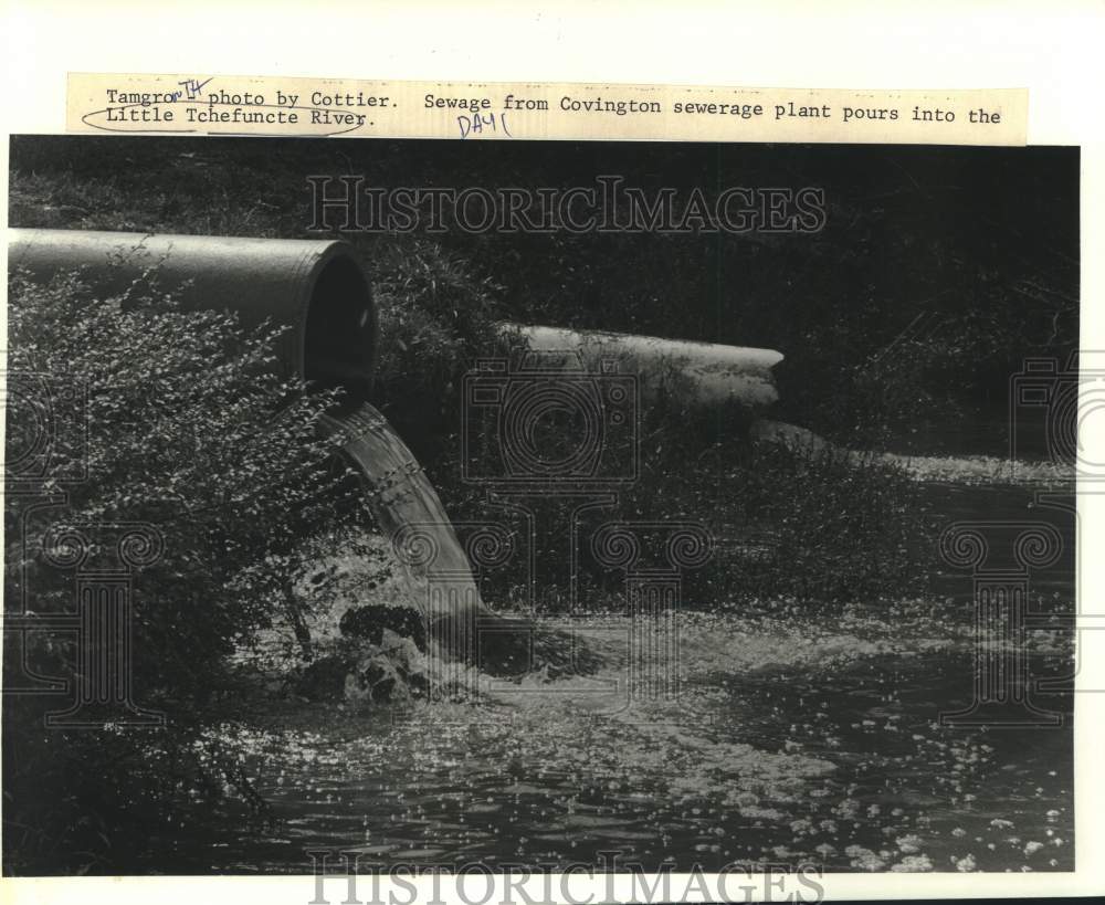 1987 Press Photo Covington sewerage plant pours into the Little Tchefuncte River - Historic Images