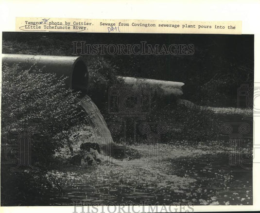 1987 Press Photo Covington sewerage plant pours into the Little Tchefuncte River - Historic Images