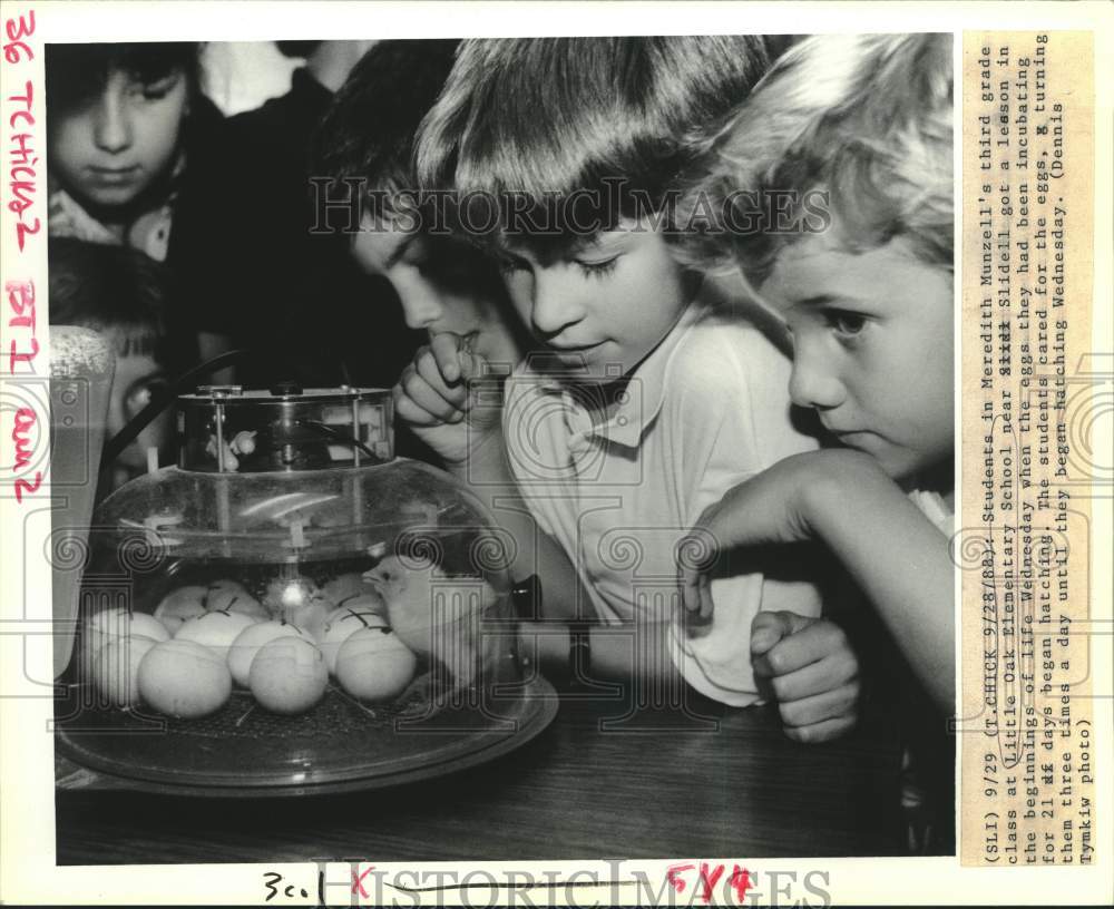 1988 Press Photo Meredith Munzell&#39;s third grade class at Little Oak Elementary - Historic Images