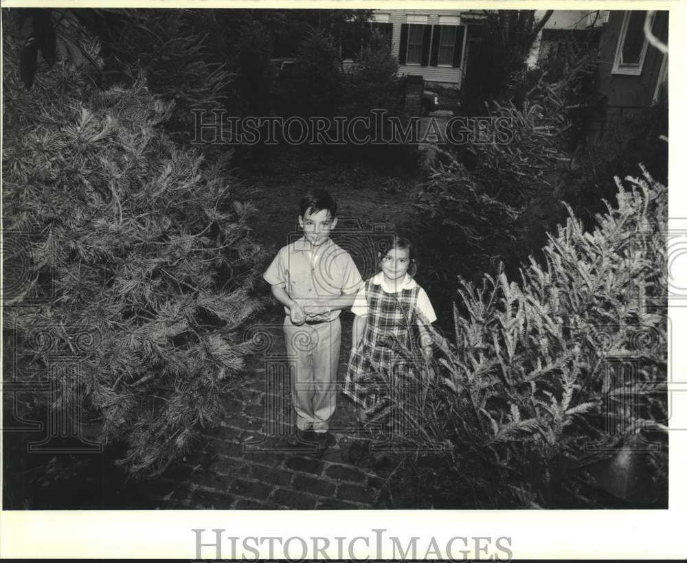 1990 Press Photo Riess &amp; Courtney Livadais with Christmas trees they collected. - Historic Images