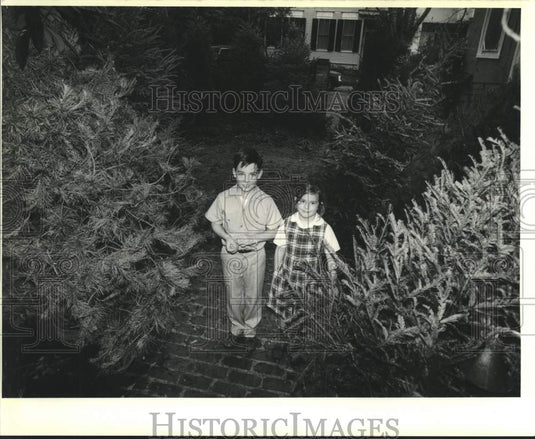 1990 Press Photo Riess & Courtney Livadais with Christmas trees they collected. - Historic Images