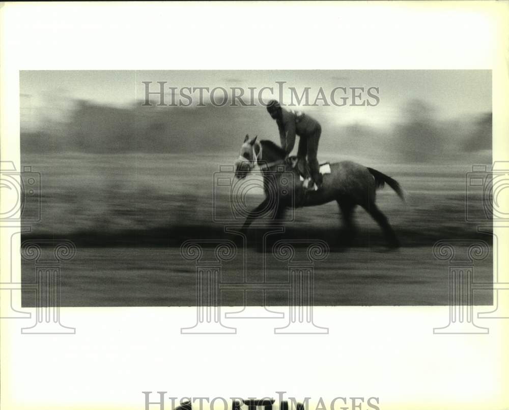 1995 Press Photo Exerciser rider Paul Johnson exercising horses around 6:00 a.m. - Historic Images