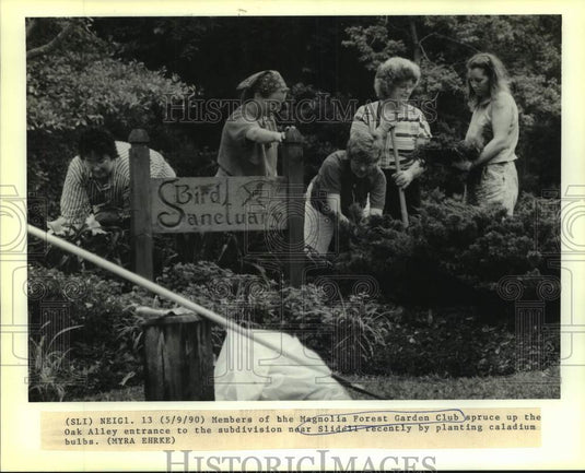 1990 Press Photo Magnolia Forest Garden Club spruces up the Oak Alley entrance - Historic Images