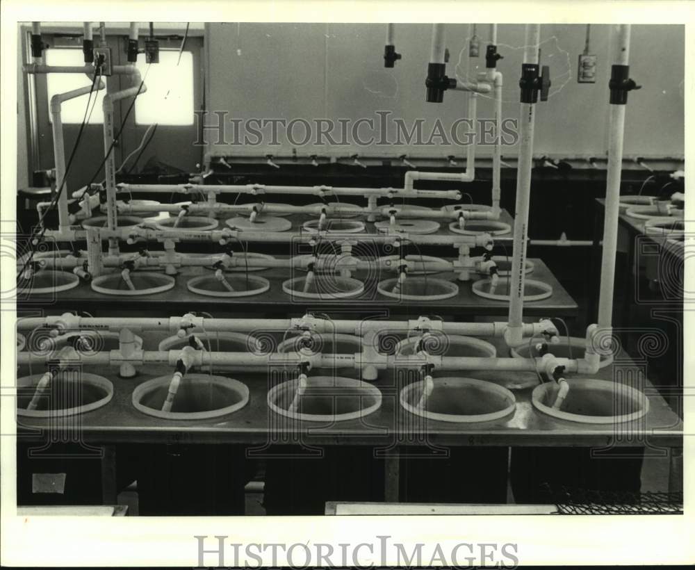 1987 Press Photo Louisiana State University&#39;s Agriculture Center- Aquaculture - Historic Images