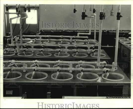 1987 Press Photo Louisiana State University's Agriculture Center- Aquaculture - Historic Images