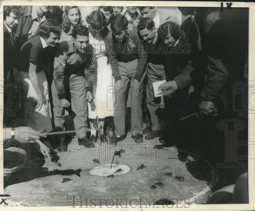 1950 Students at Loyola University&#39;s annual crab fighting festival - Historic Images