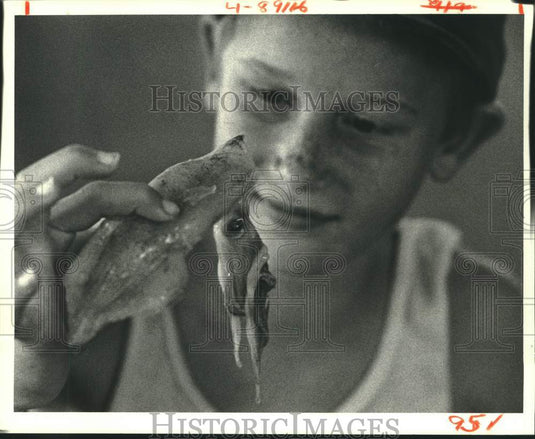 1988 Press Photo Mike Bordes at the Louisiana Wildlife & Fisheries Museum - Historic Images