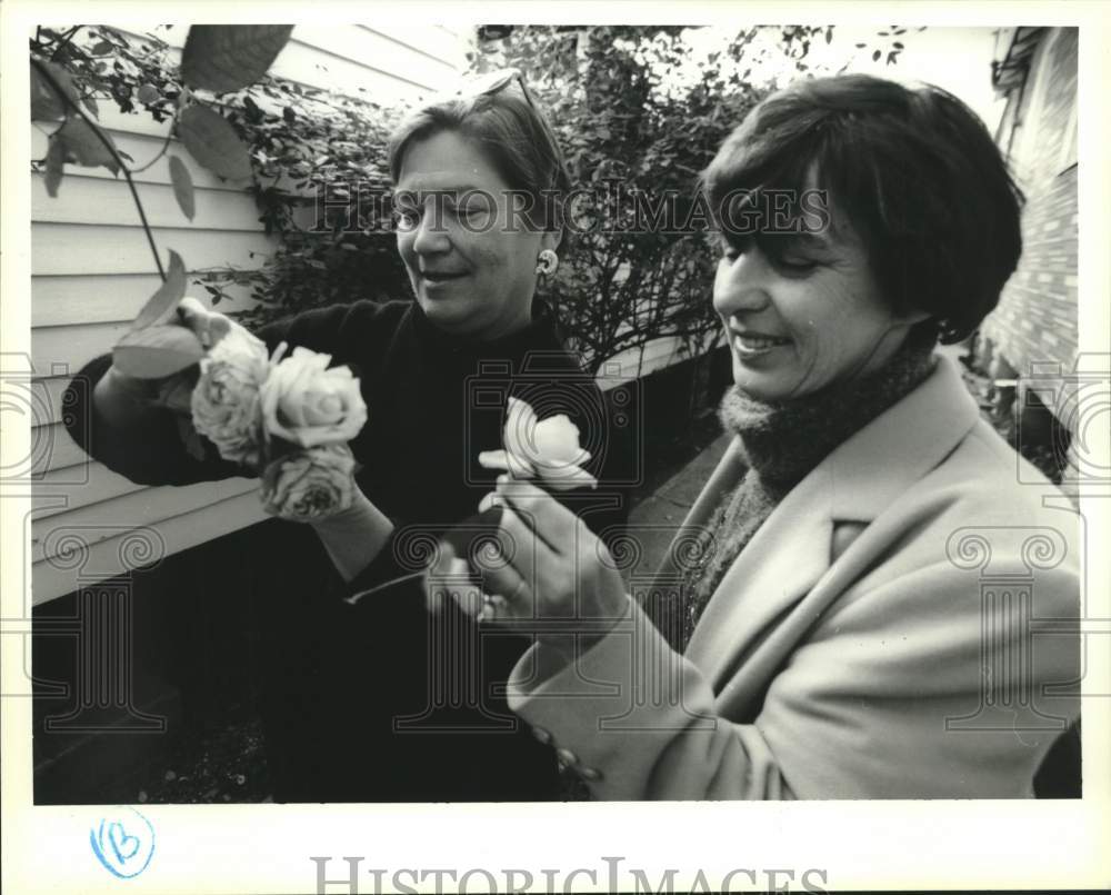 1995 Press Photo Rosemary Sims and Odille Masquelier inspect a rose bush - Historic Images