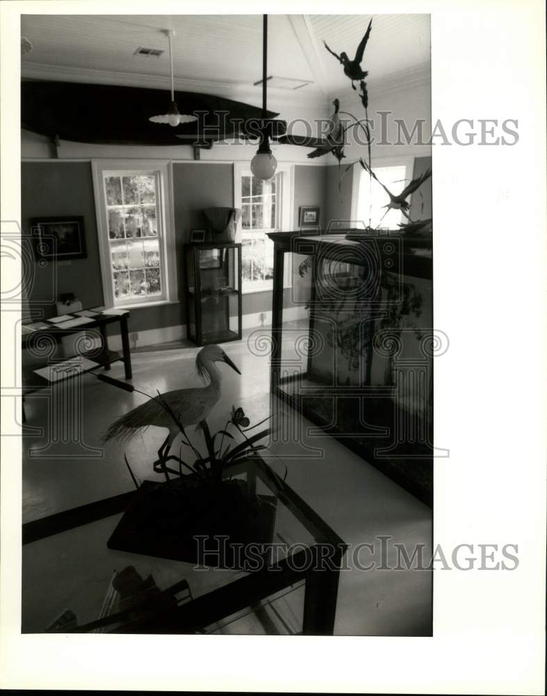 1991 Press Photo The interior of the Madisonville Museum - Historic Images