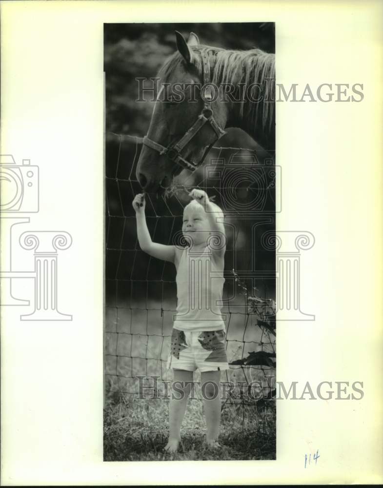 1989 William Monso feeds a horse with a grass in Kenilworth - Historic Images