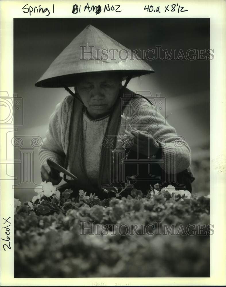 1994 Ly-Thi-Nguyen holds weeds she just pulled from a flower bed. - Historic Images