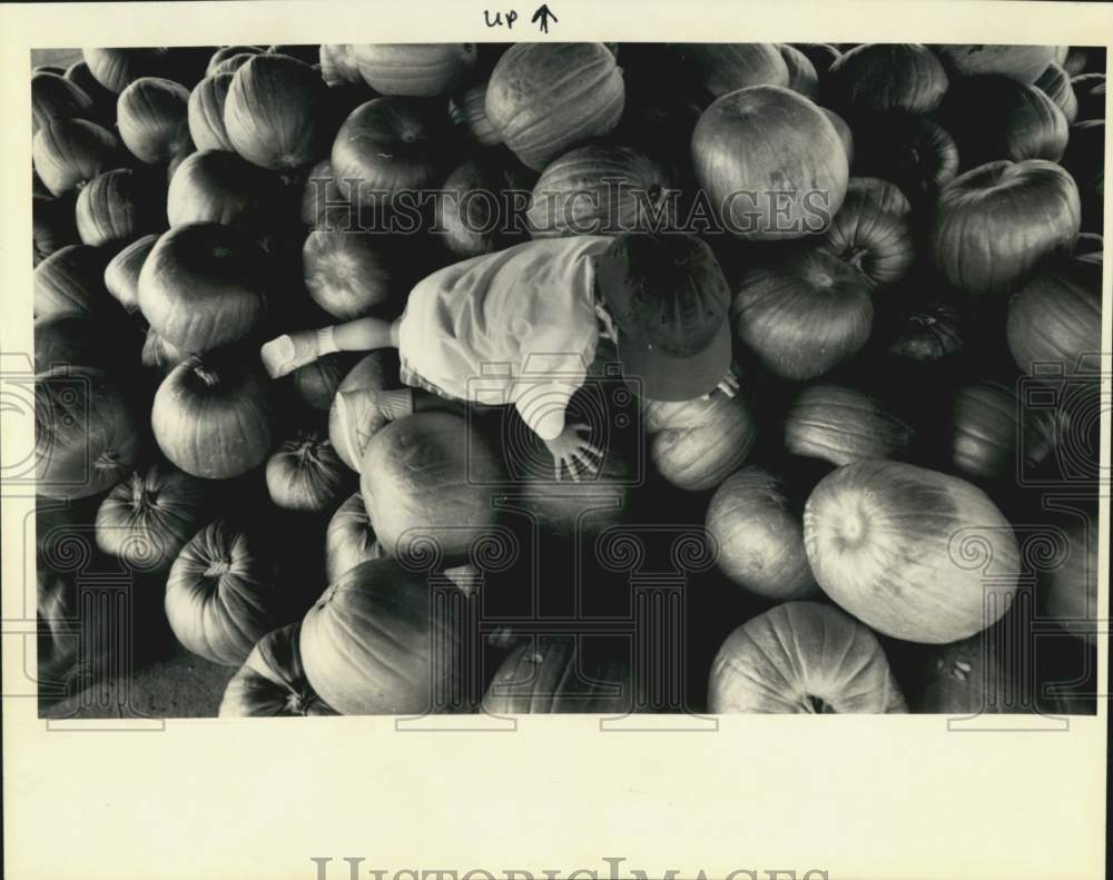 1992 Christopher Whelan on pile of Pumpkins at Jim&#39;s Trees-Clearview - Historic Images