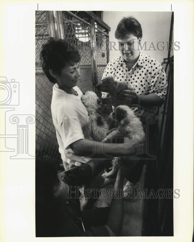 1990 St. Bernard Animal Control-Cindy Albe, Kevin Burmaster and Dogs - Historic Images
