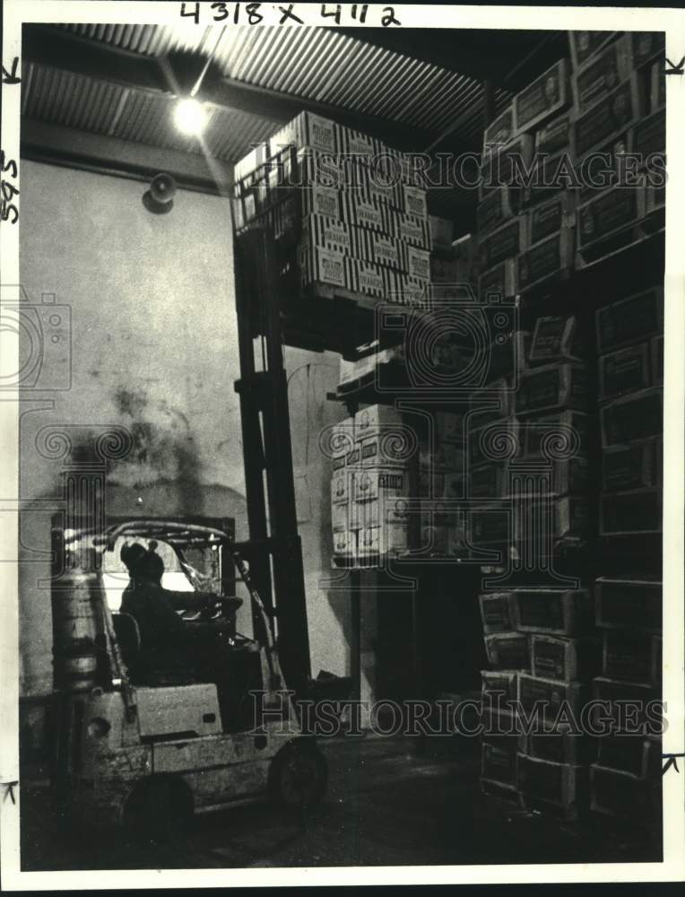 Cases of oranges being raised to a storage shelf at Scanio Produce. - Historic Images