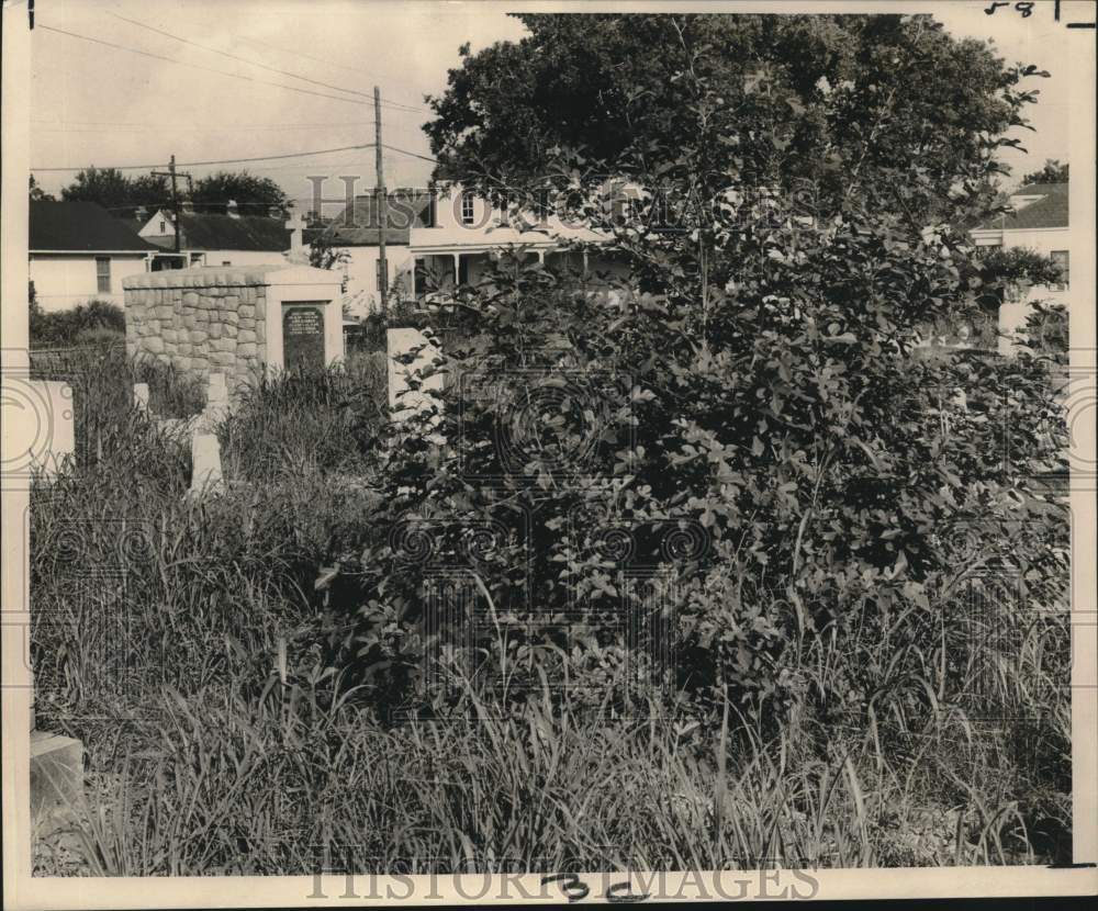 1968 Press Photo Weeds &amp; shrubbery cover the gravesites at the St. Mary Cemetery - Historic Images