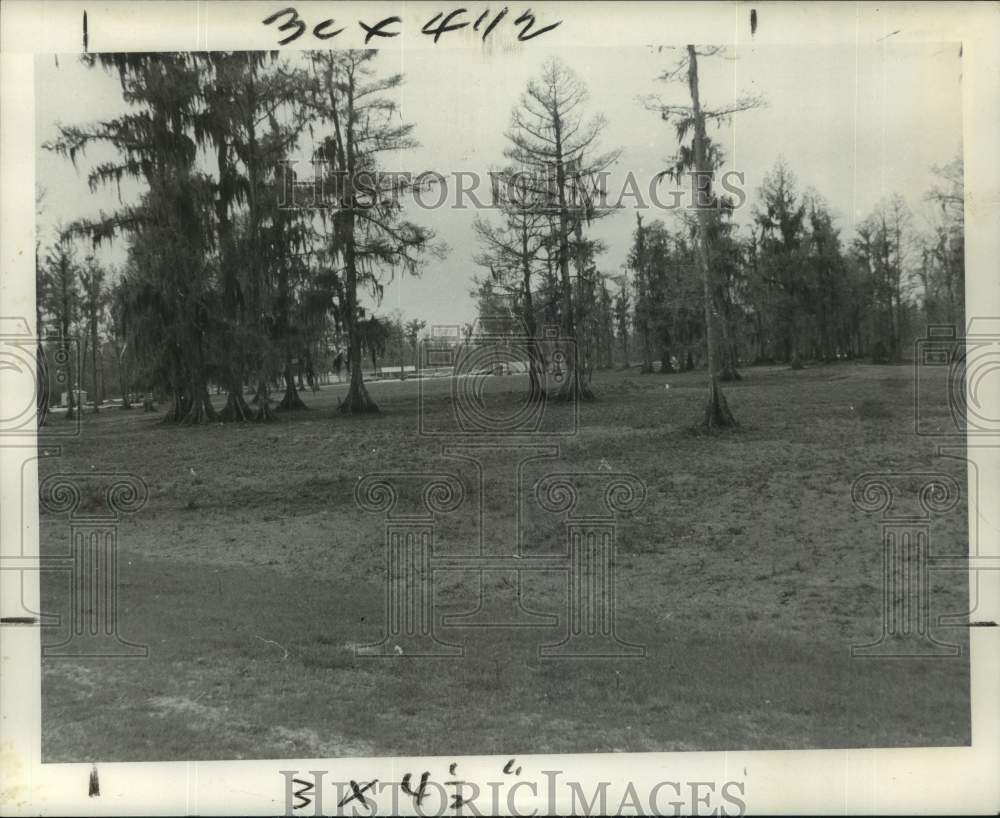 1971 Press Photo Willowdale Country Club club house among the cypress trees - Historic Images