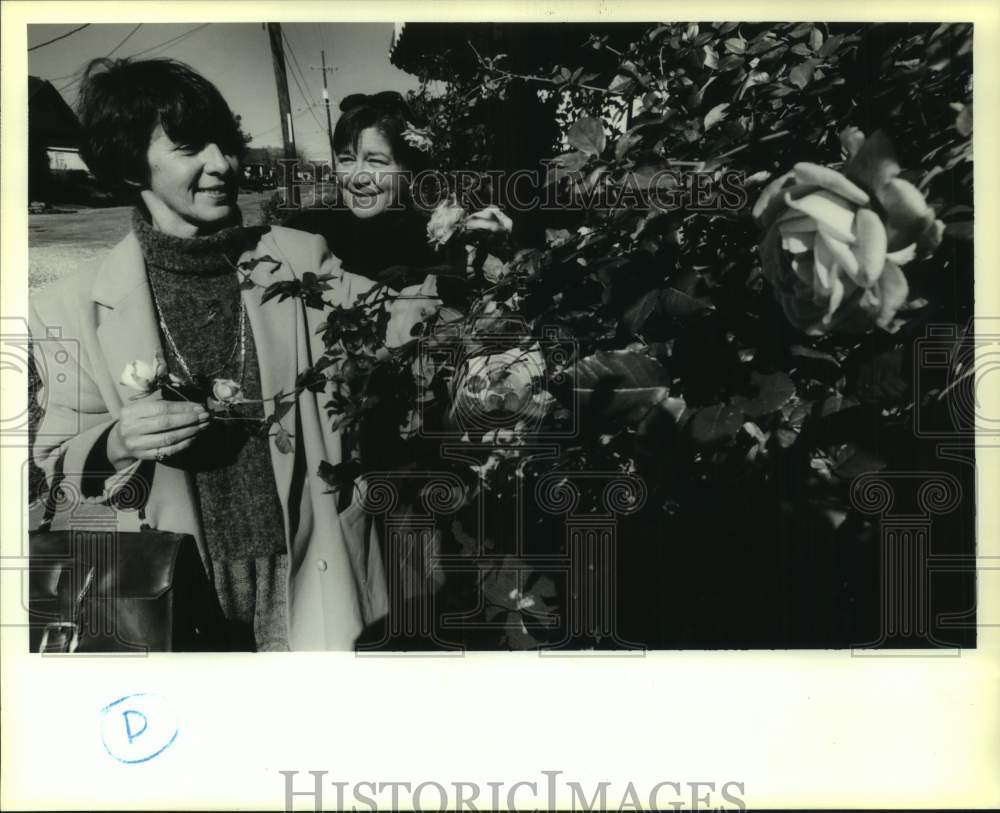 1995 Odille Masquelier and Rosemary Sims Inspect Roses, New Orleans - Historic Images