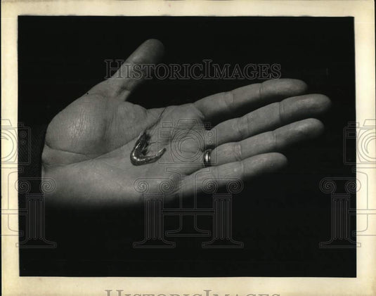 1969 Press Photo Tiny size shrimp harvest- Shrimp Industry - noc57937 - Historic Images