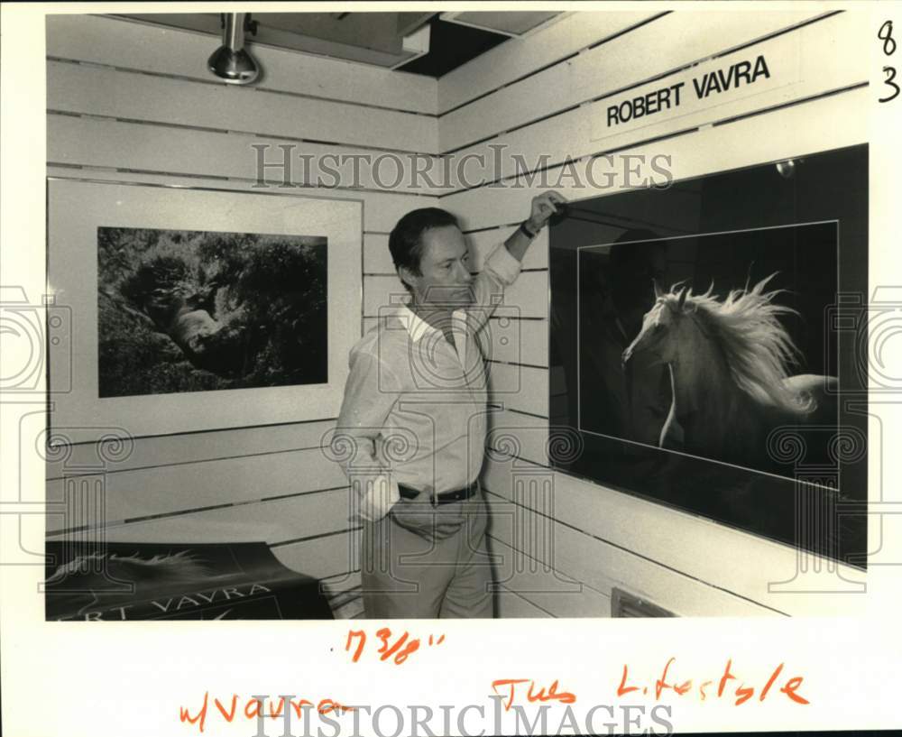 1981 Robert Vavra and his photo of an Andalusian stallion - Historic Images