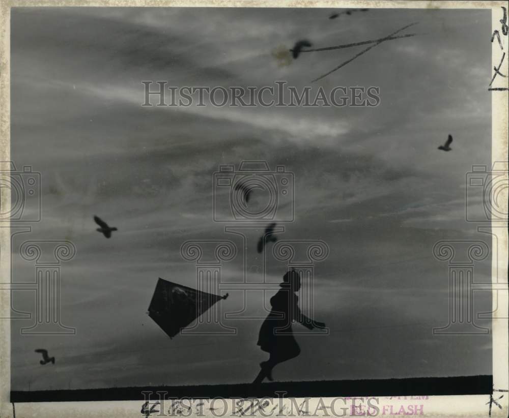 1968 Press Photo Symbolic photomontage to herald the new season-Kite and Birds - Historic Images