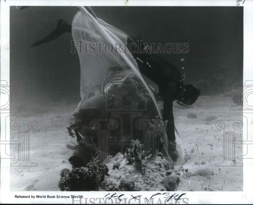 1969 Press Photo Lance Lenart, Miami Seaquarium collector - noc81130- Historic Images