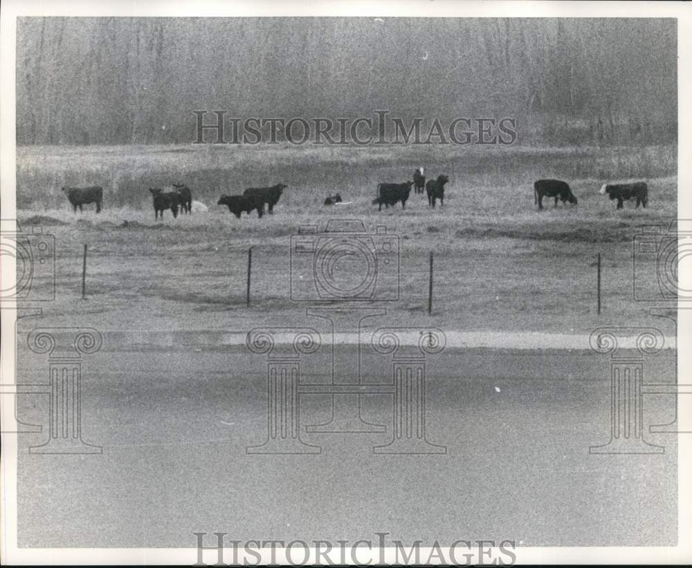 1974 Press Photo View of Bonnet Carre Spillway - noc81357 - Historic Images