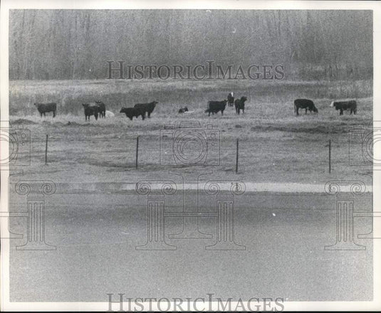 1974 Press Photo View of Bonnet Carre Spillway - noc81357 - Historic Images