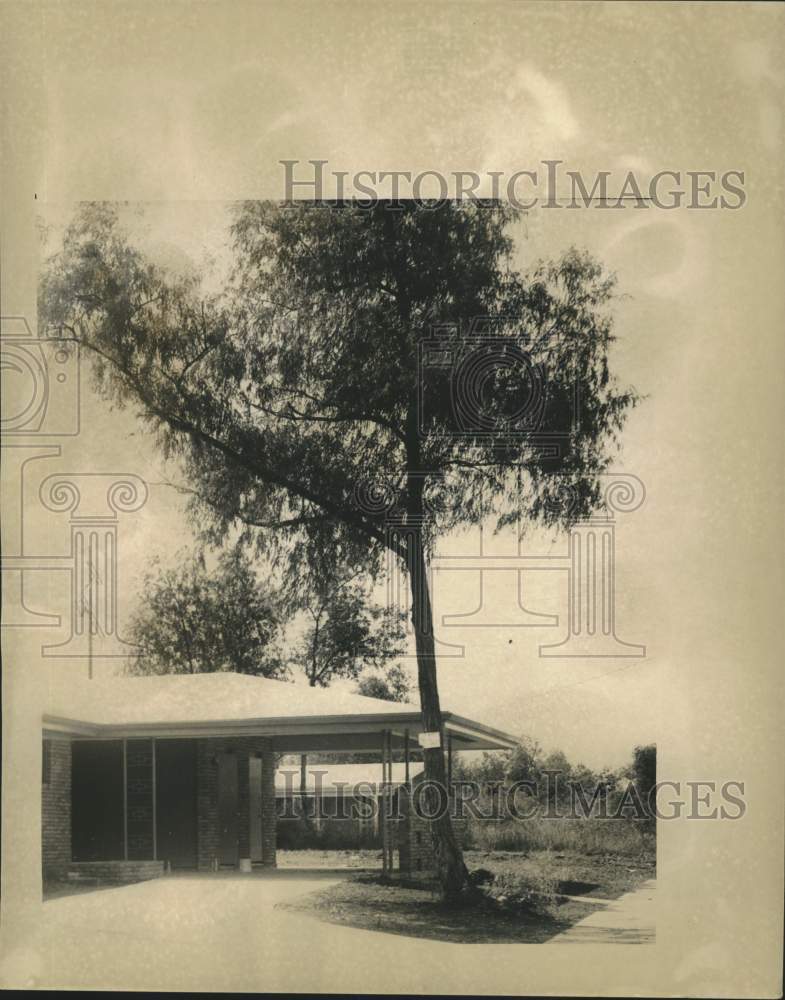 1957 Tree provides shade to the front of house-Historic Images