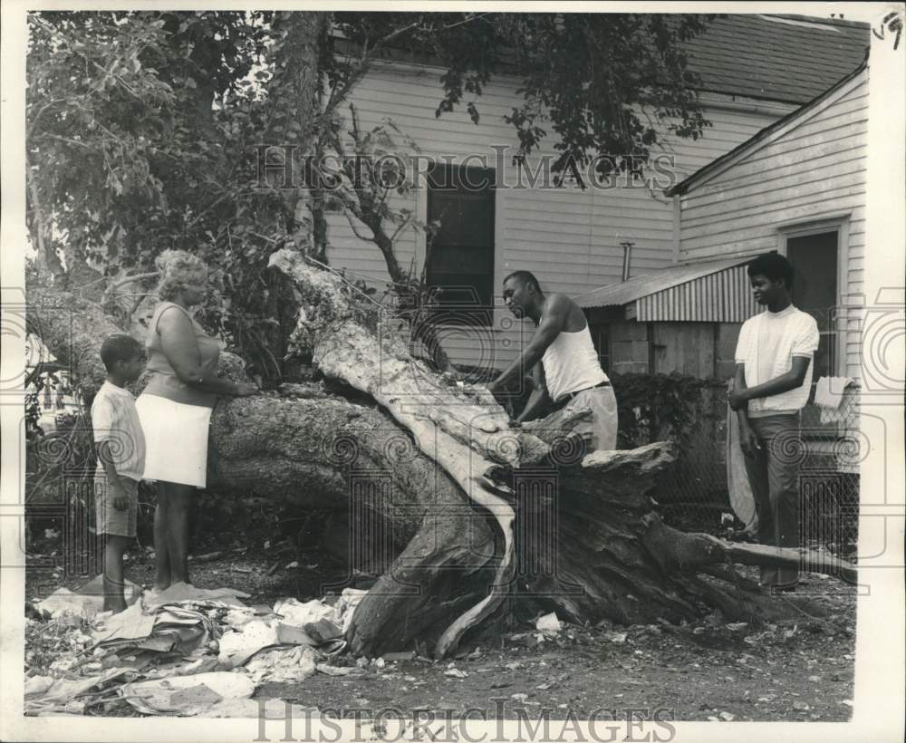 1971 Cooperative Voters League members tear down tree in vacant lot - Historic Images