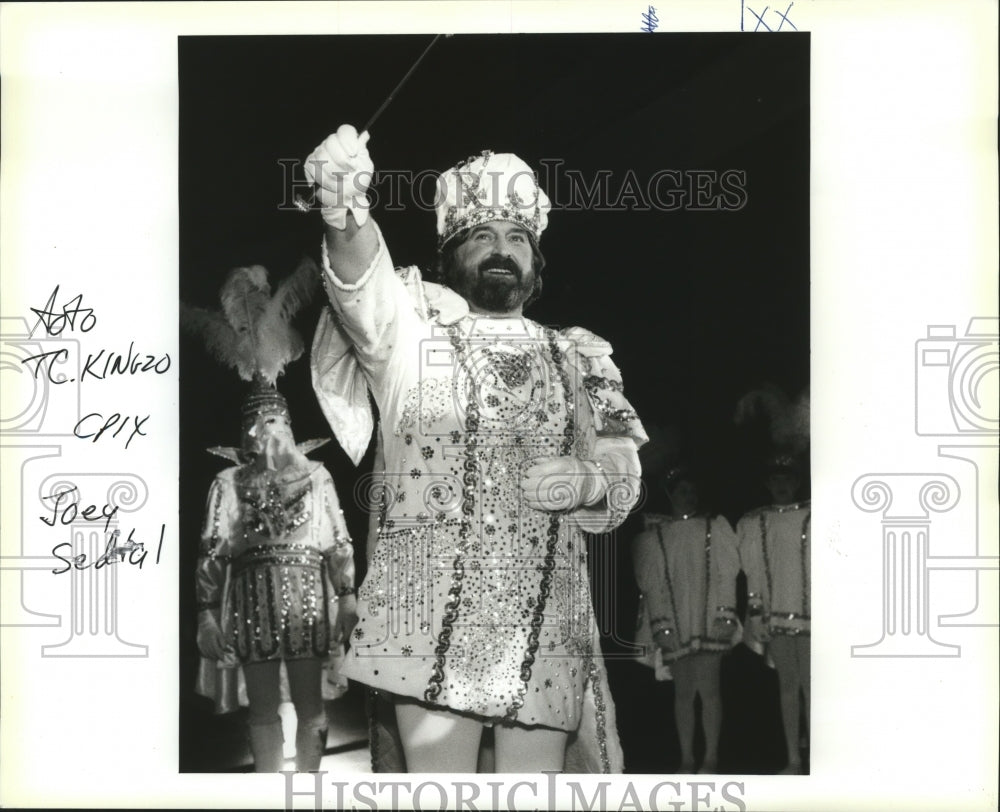 1994 New Orleans Mardi Gras Carnival Ball - Historic Images