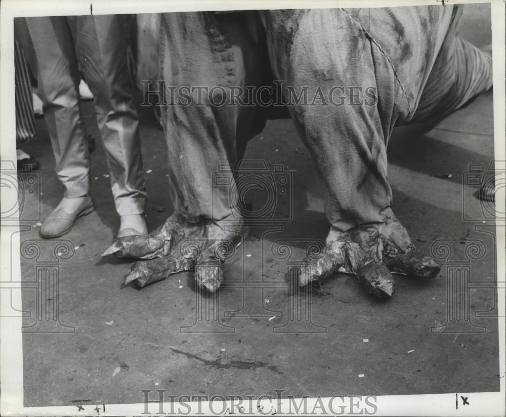 1960 New Orleans Mardi Gras dinosaur feet  - Historic Images