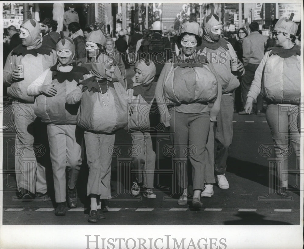 1971 people in matching costumes during Mardi Gras in New Orleans - Historic Images