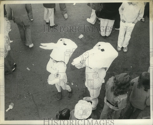 1974 Carnival Maskers Wearing Bunny Costumes in New Orleans - Historic Images