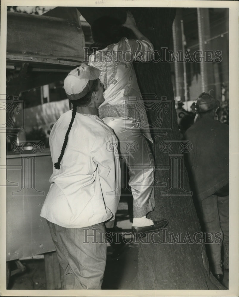 Maskers Trying to climb Tree at Mardi Gras, New Orleans  - Historic Images