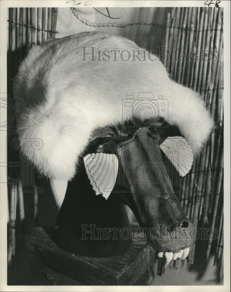 1975 Carnival Masker  - Historic Images