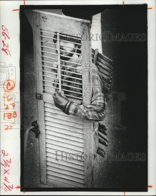 1978 Masker in Costume at Mardi Gras, New Orleans  - Historic Images