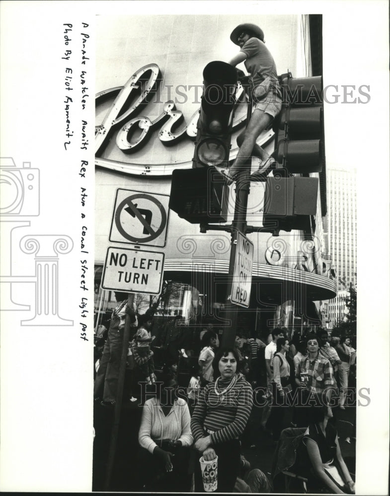 1982 Parade watcher awaits Rex atop a street lamp post - Historic Images