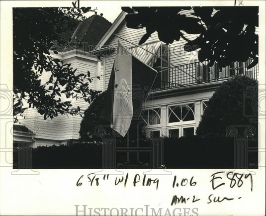 1983 Rex Flag at New Orleans Home, Mardi Gras  - Historic Images