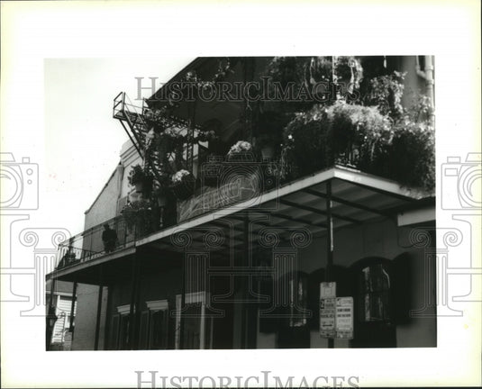 1994 Bourbon Street Balcony Decorated with Plants for Mardi Gras - Historic Images