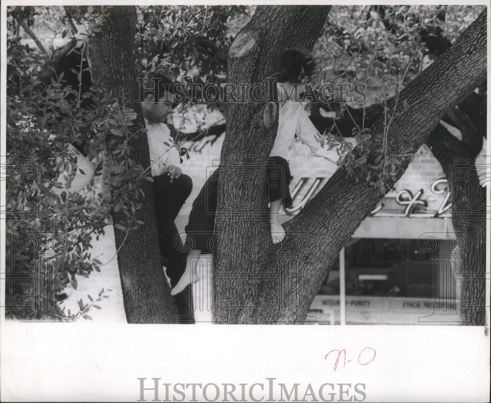 1971 Spectators With Unusual Seats Watch Parade Mardi Gras - Historic Images