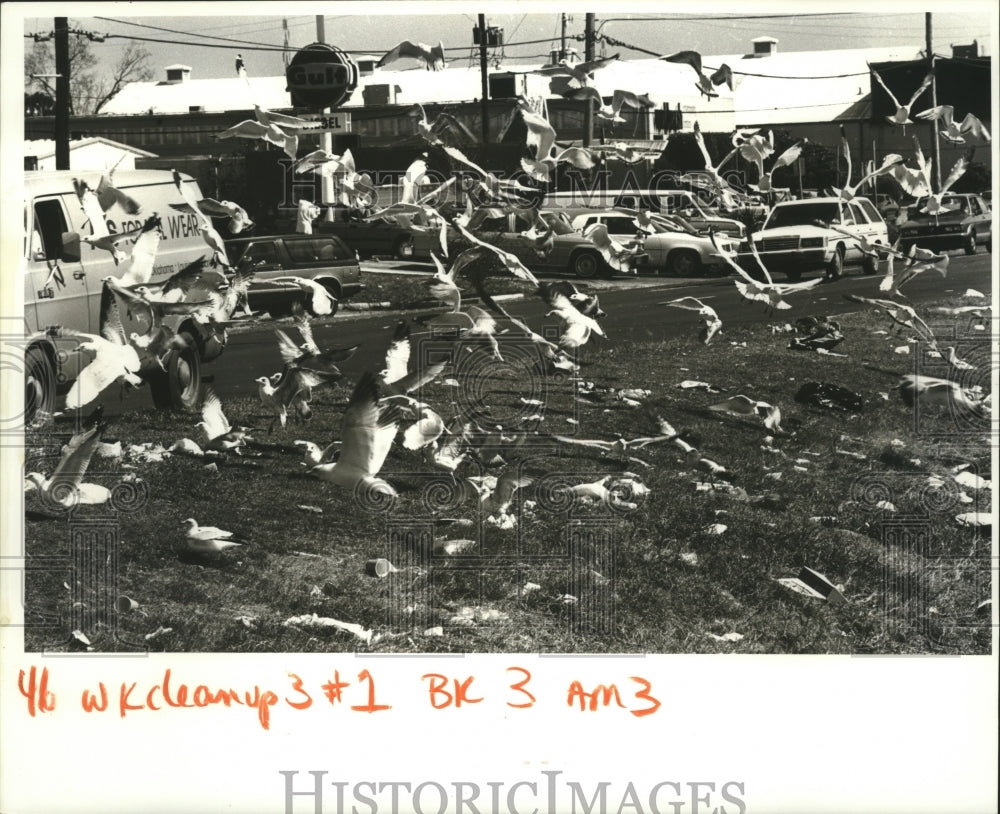 1987 A Flock of Seagulls Flocked Along Veterans Blvd, Mardi Gras - Historic Images