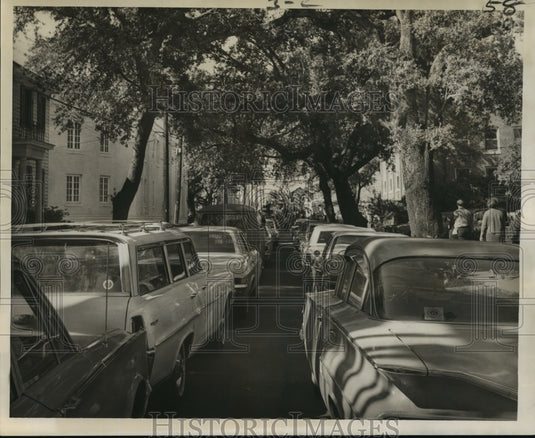 1967 Cars Parked in Triple Row on Willow St. for New Orleans Parade - Historic Images
