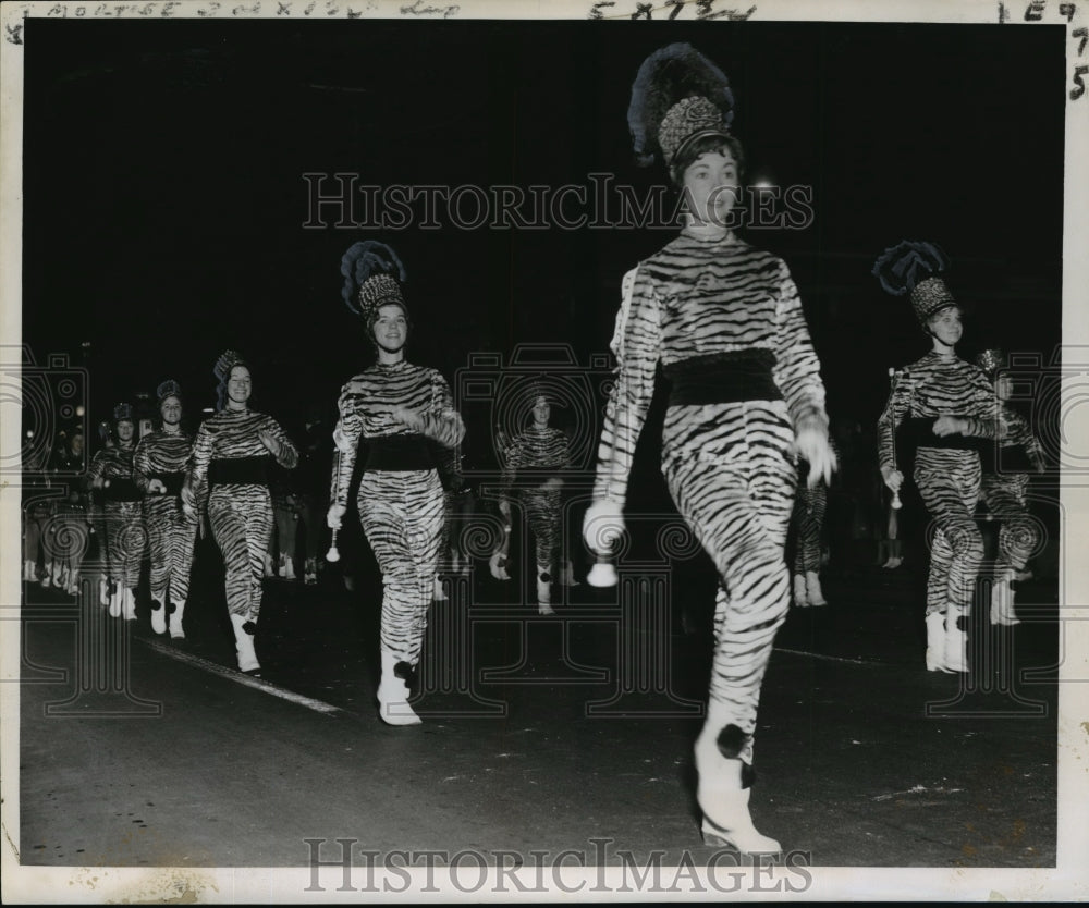 1961 Marchers in tiger costumes strut in Babylon Mardi Gras parade - Historic Images