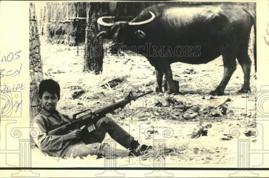 1970 Water Buffalo Watches Young Laotian Infantry Soldier Resting - Historic Images