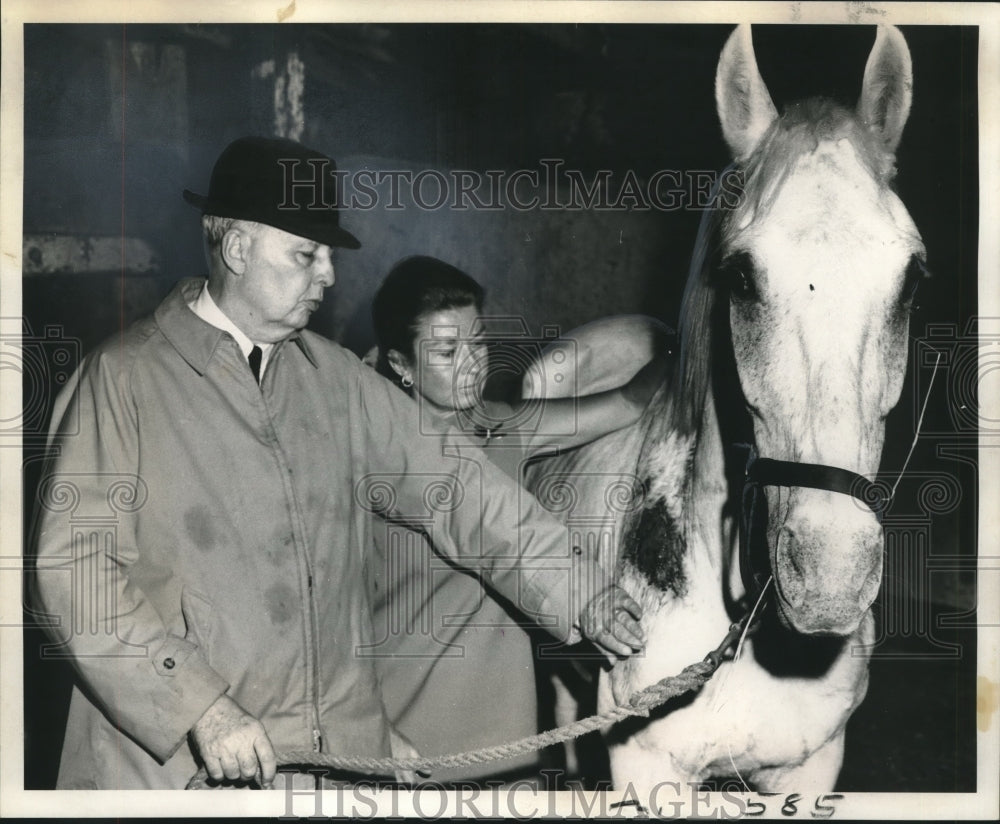 1969 Henry Dorsey examines Bobby, a horse needing medical attention-Historic Images