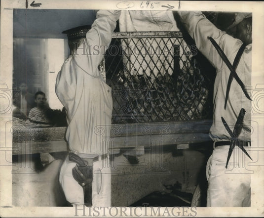 1948 Press Photo Stray dog caught, placed inside cage and en route to the kennel-Historic Images