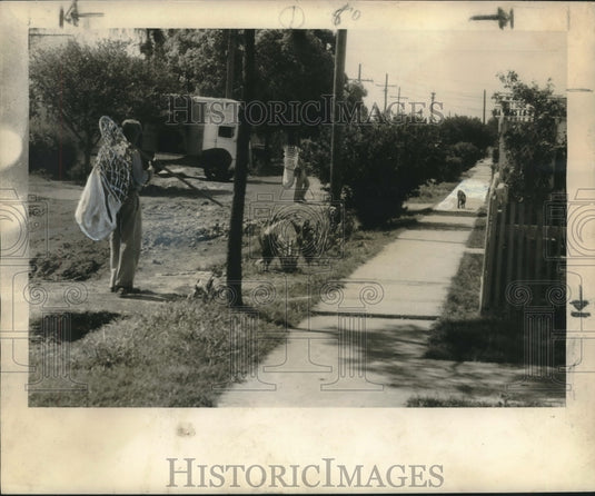 1948 Press Photo SPCA team deploys on each side of the dog - noo11305-Historic Images