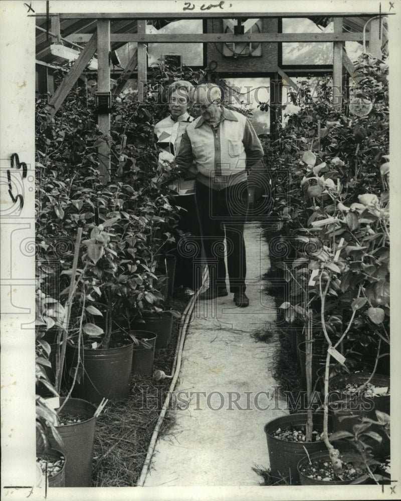 1969 Mr. &amp; Mrs. Oscar Elmer Inspect Camellias in Greenhouse - Historic Images