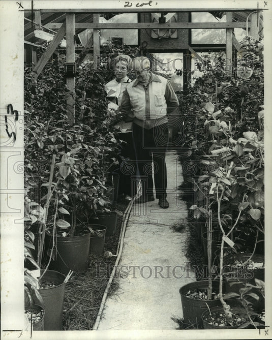 1969 Mr. & Mrs. Oscar Elmer Inspect Camellias in Greenhouse - Historic Images